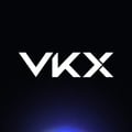 VKX WALLET API