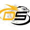 DS Security SA logo