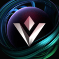 VGX Wallet logo